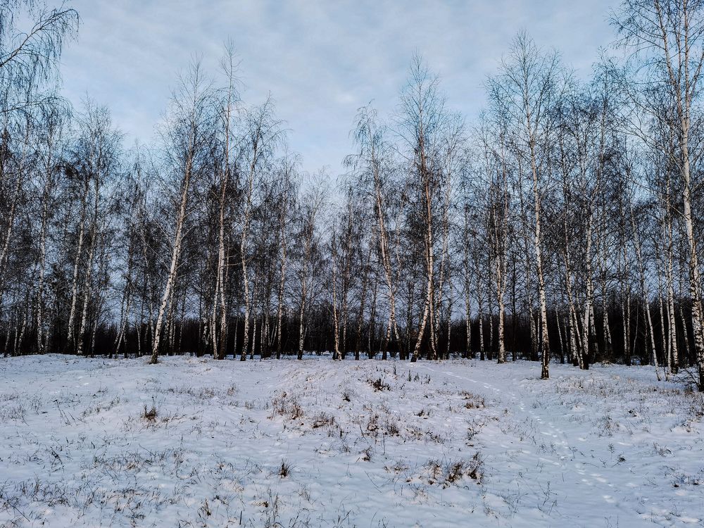 Photograph by Анна Петриенко