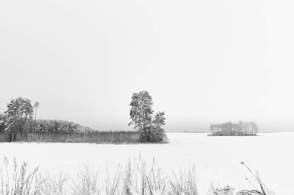Photograph by Михаил Тумилович