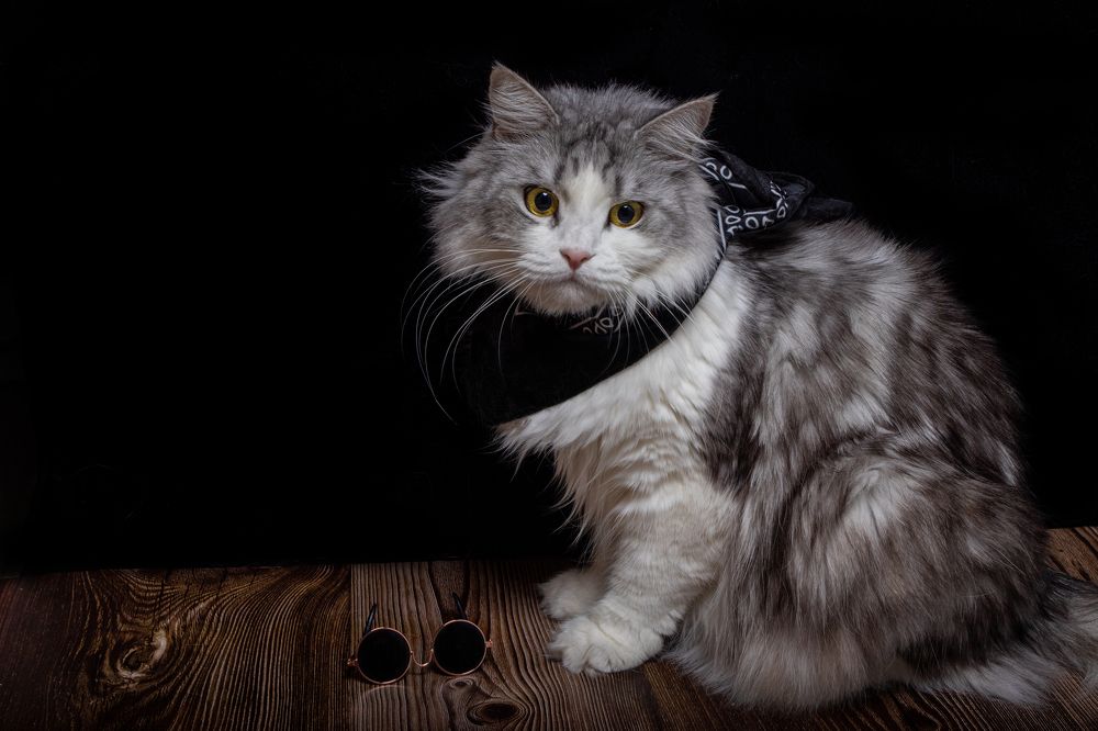 Photograph by Олег Крец