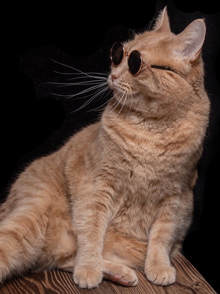 Photograph by Олег Крец