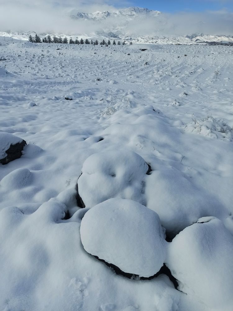 Photograph by Akhoondi Hannaneh