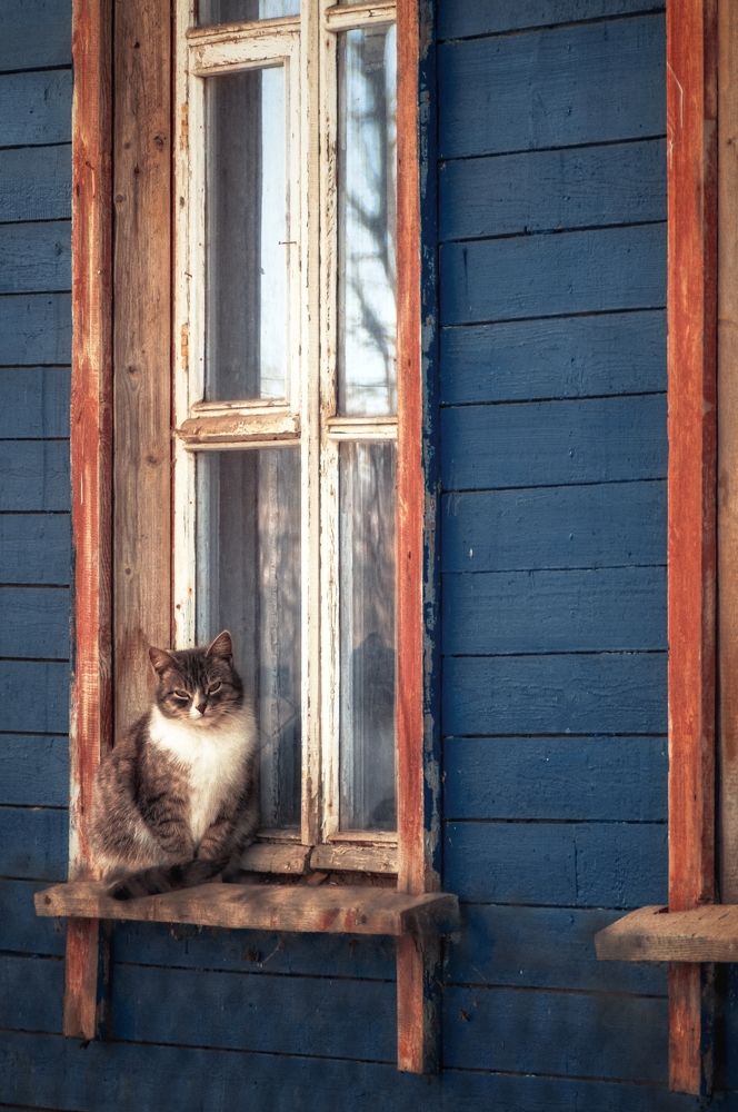 Photograph by Света Богоявленская