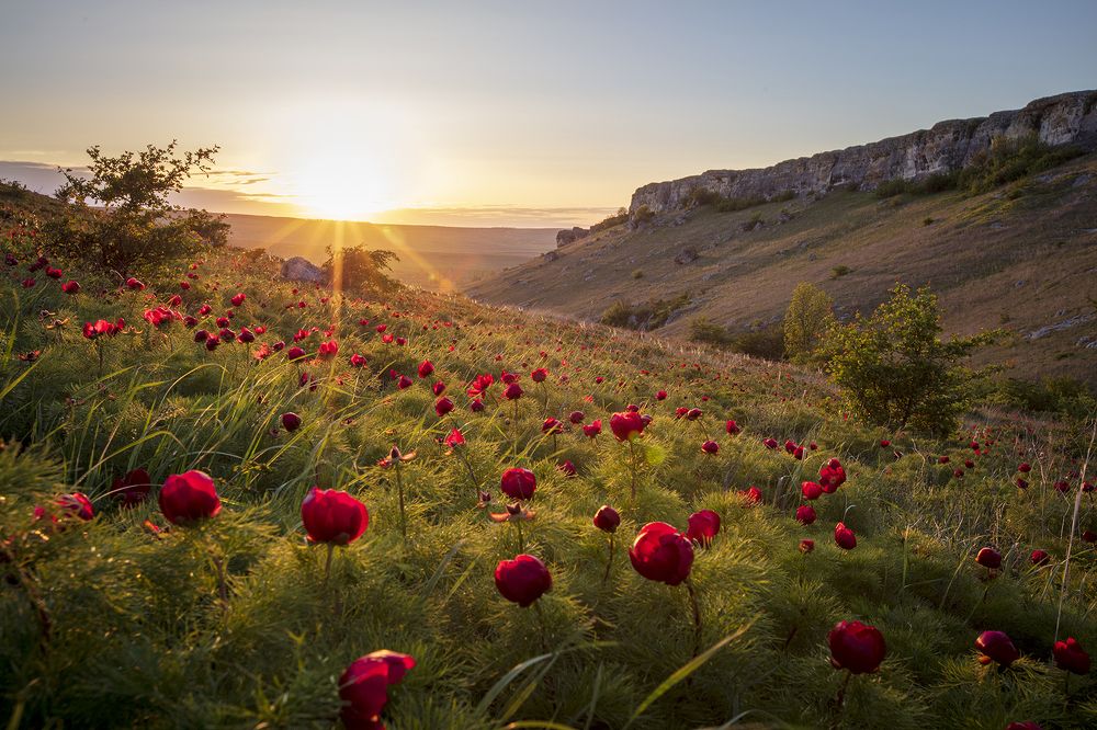 Фотография автора Сергей Шульга