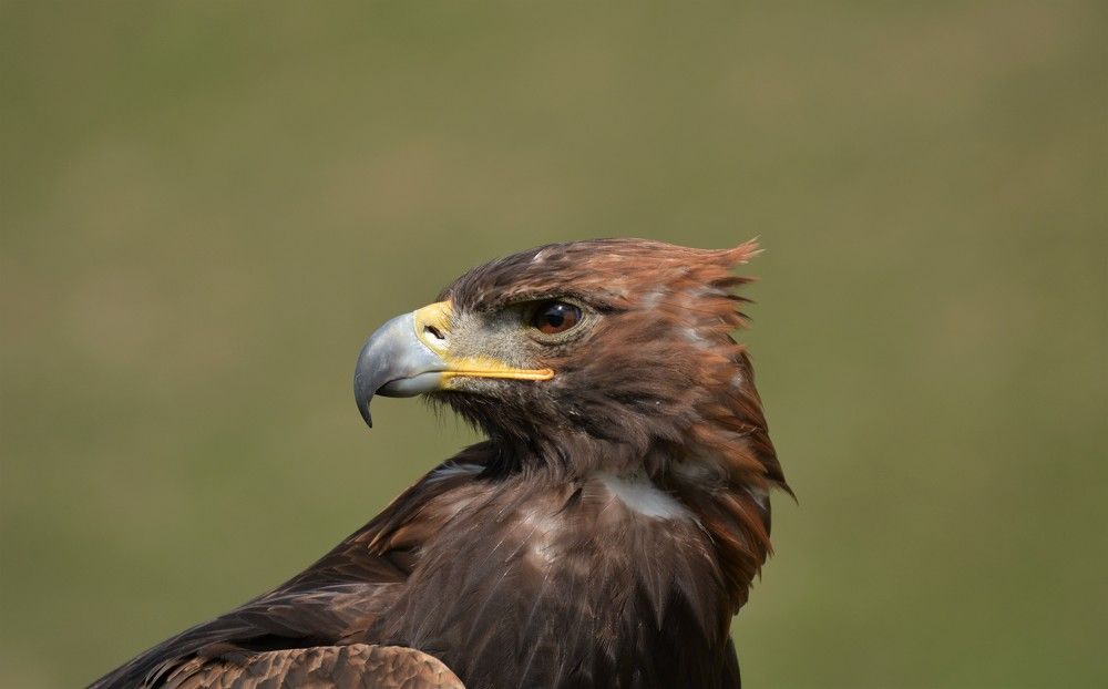 Photograph by Анатолий Каминский