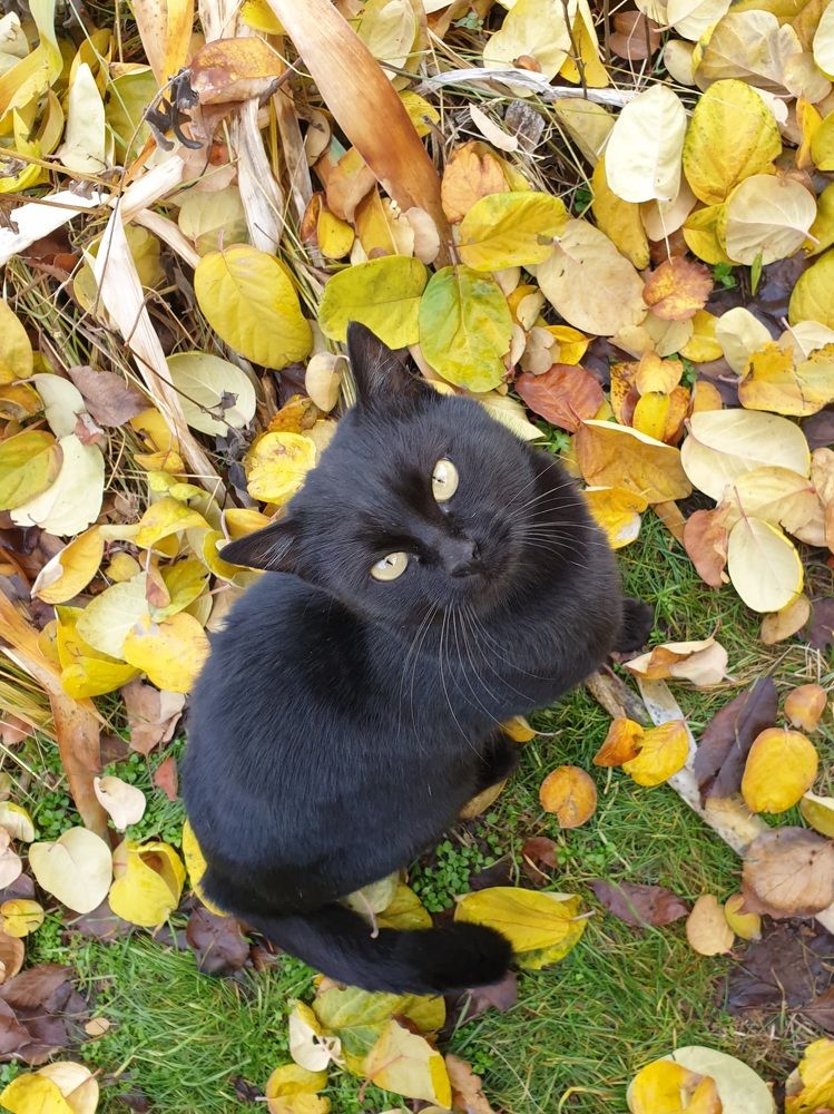 Photograph by Юлия Гудевич