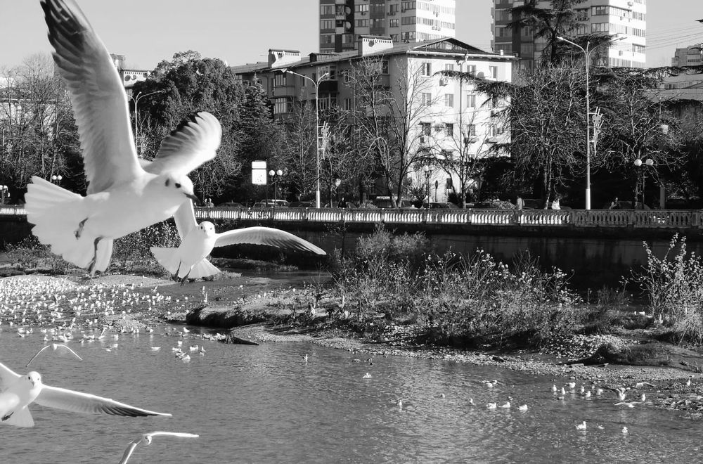 Photograph by Ольга Тихонова