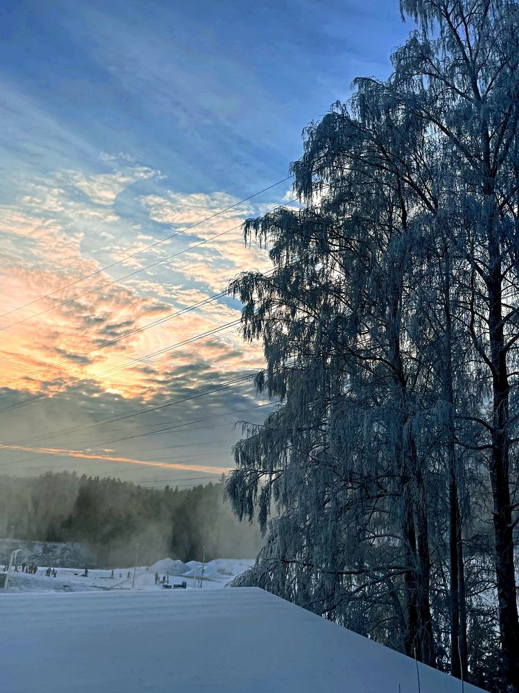 Фотография автора Наталья Быковская