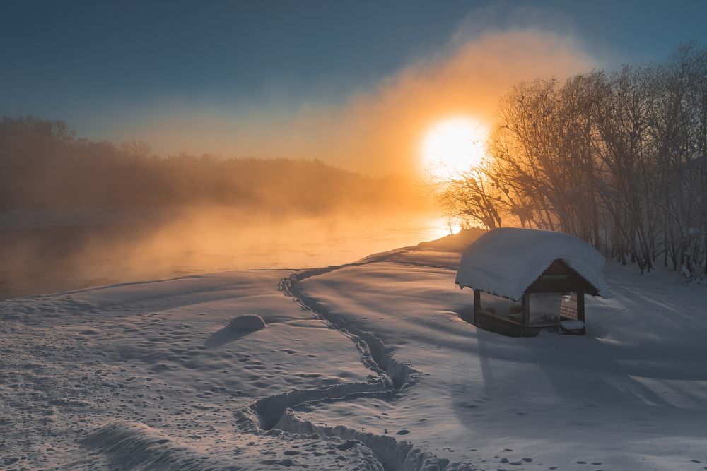 Photograph by Евгений Житников