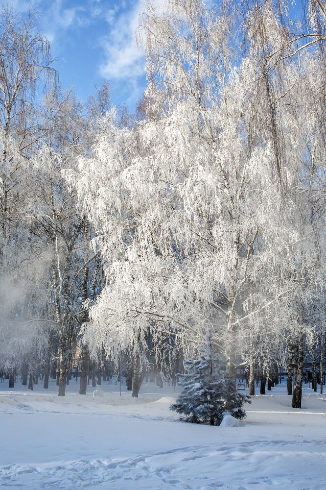 Photograph by Ирина Иванова