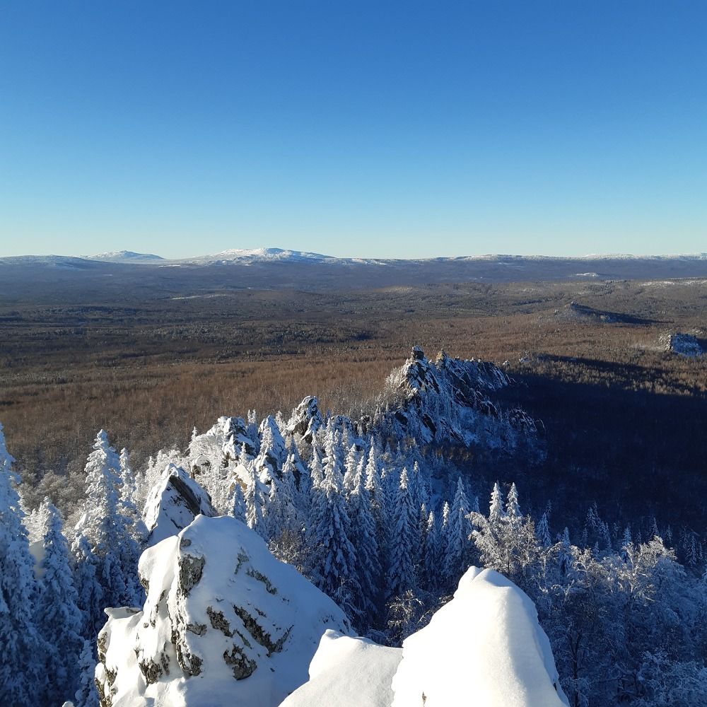 Photo #8680402