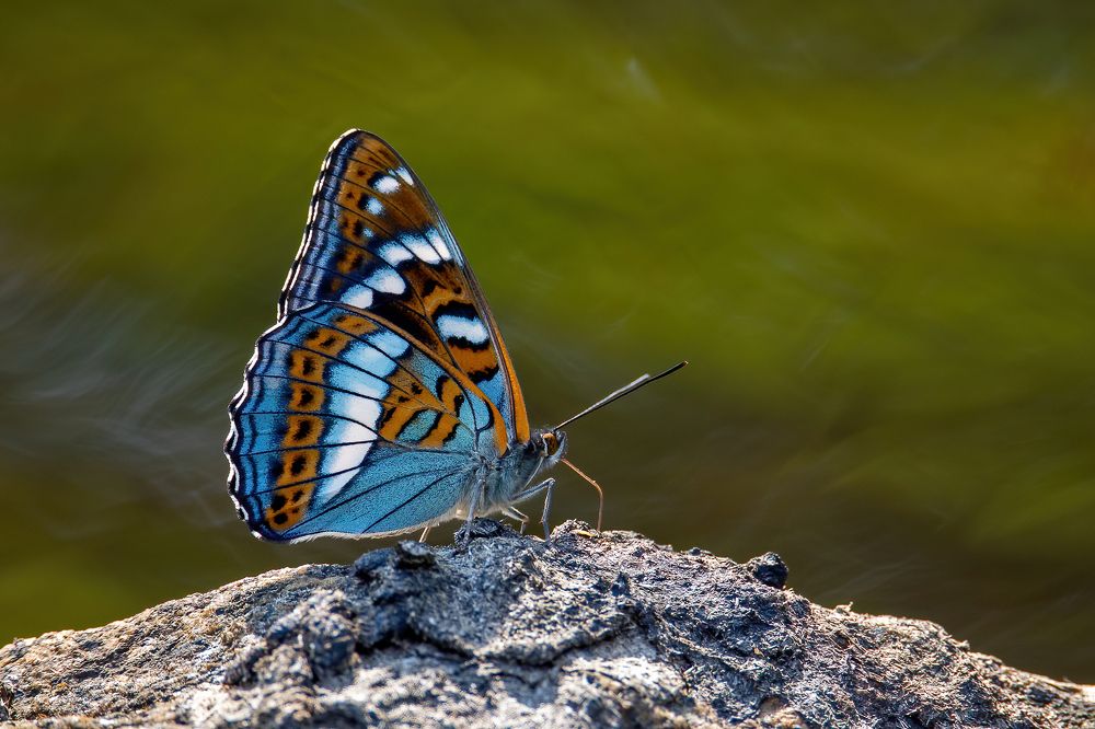 Photograph by Дина Нестеркова