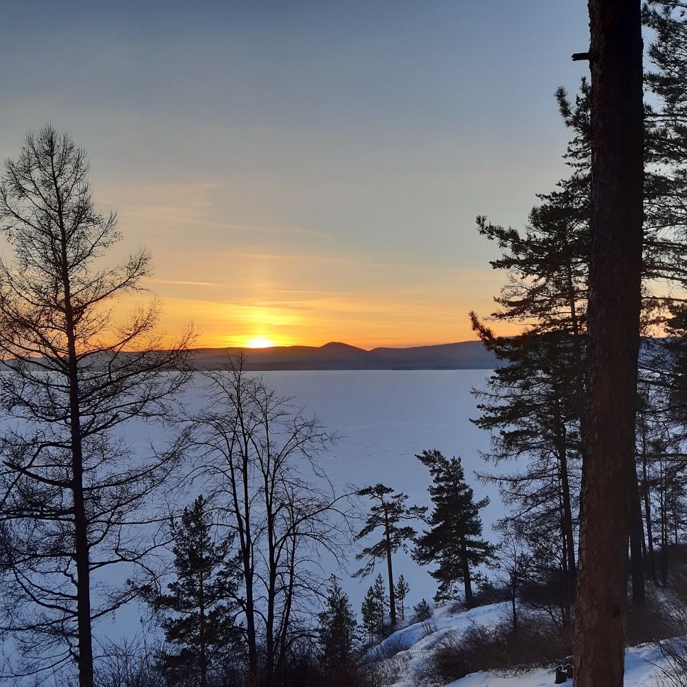 Photo #8680442