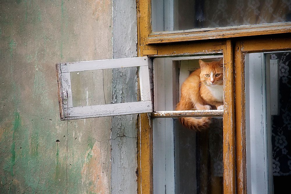 Photograph by Алексей Трифонов