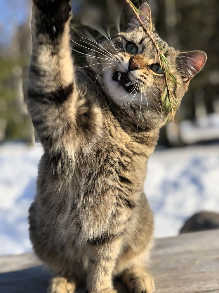 Фотография автора Сергей Ефимов