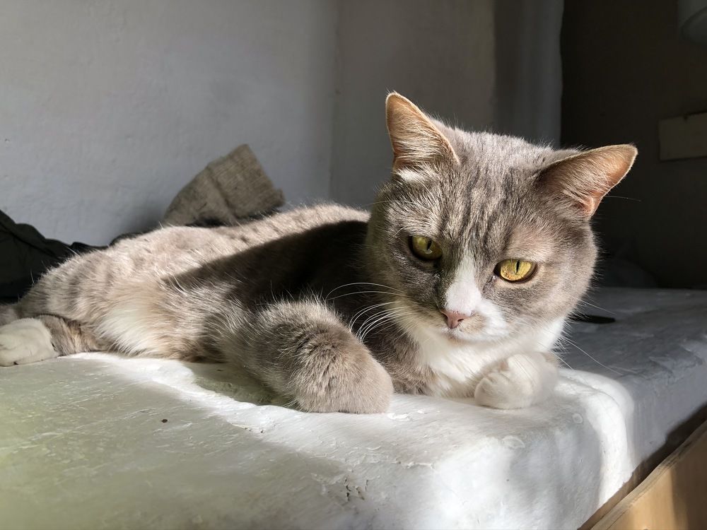 Фотография автора Сергей Ефимов