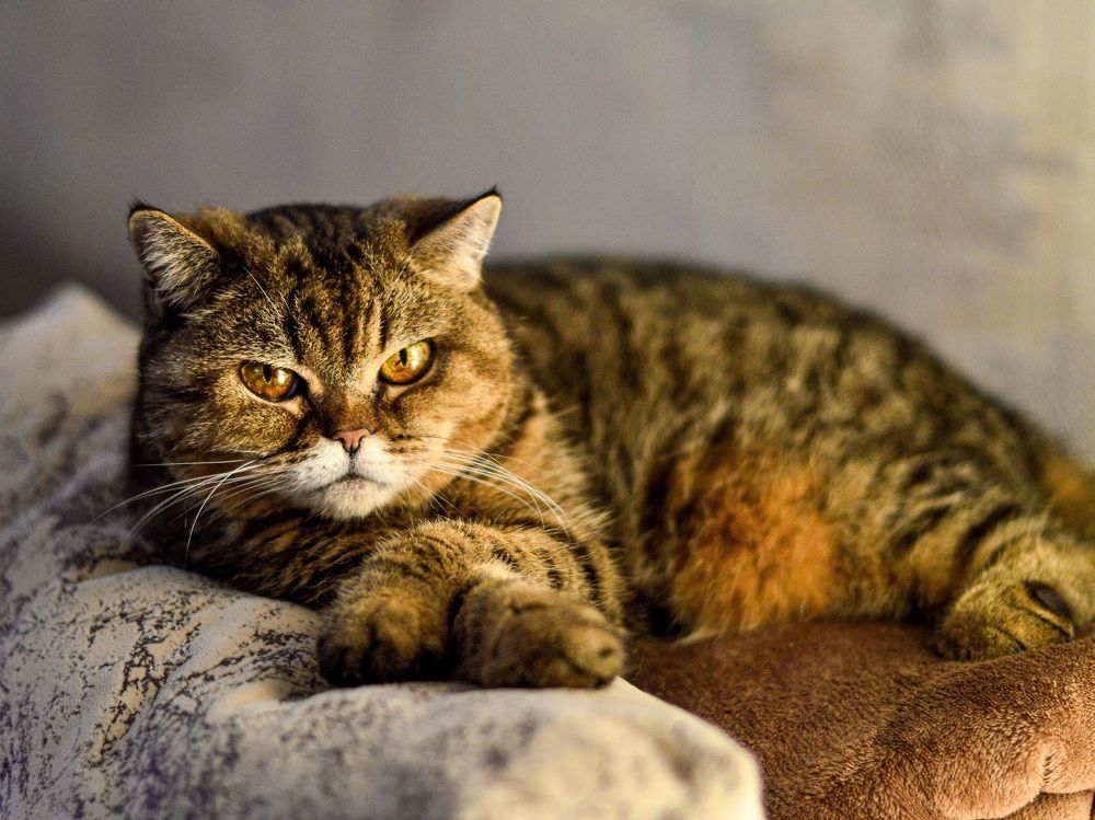 Photograph by Елена Квасова