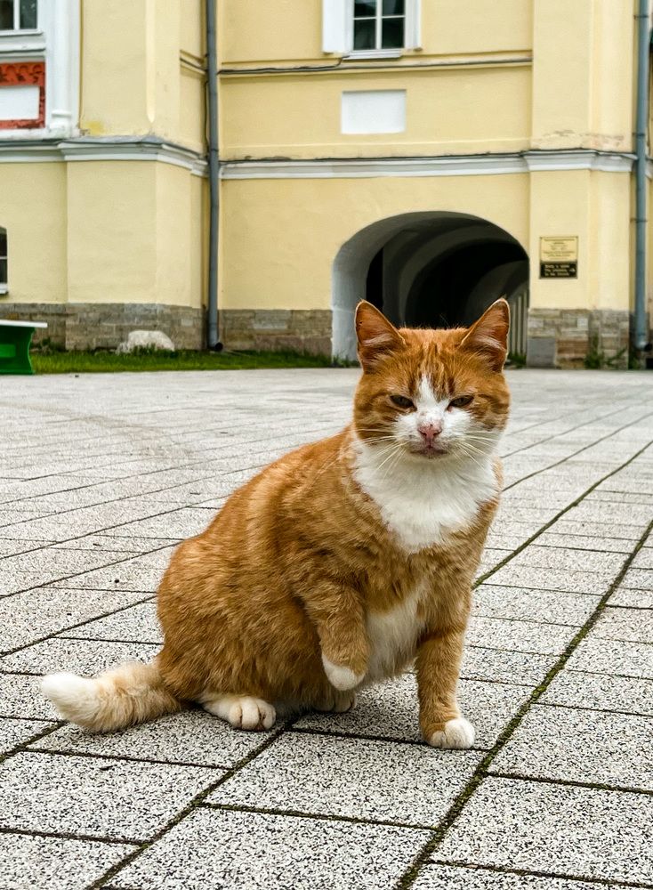 Фотография автора Сергей Ефимов