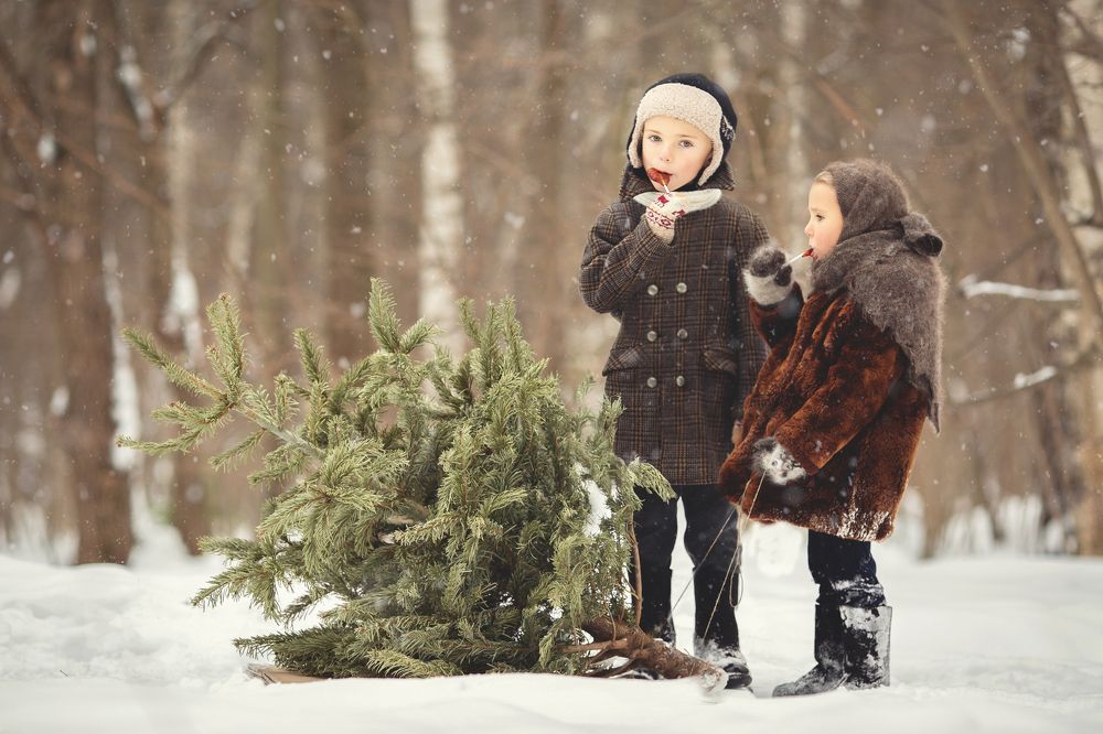 Фотография автора Анна Набатова