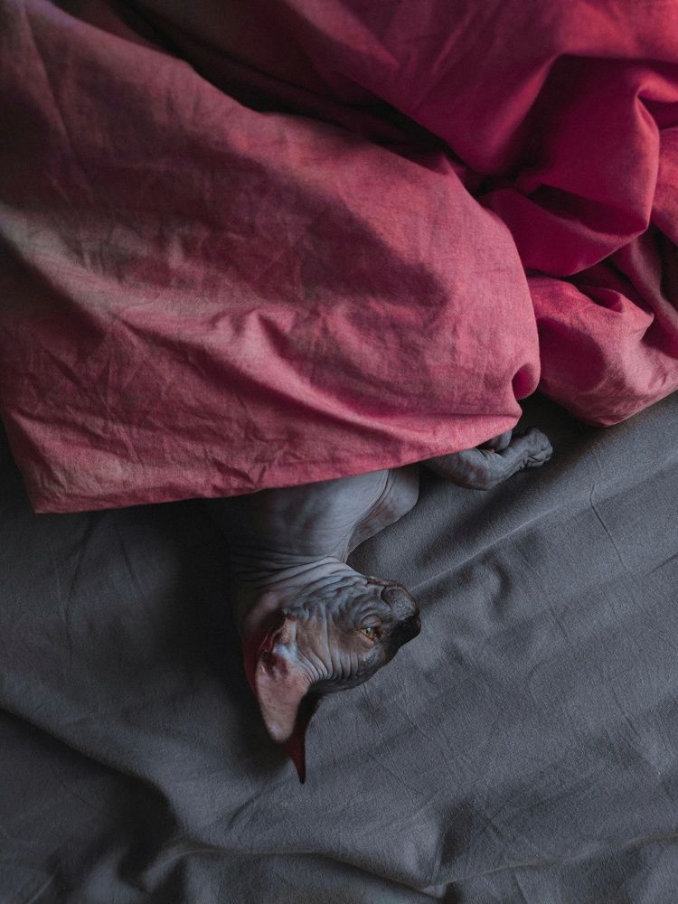 Photograph by Сергей Сластин