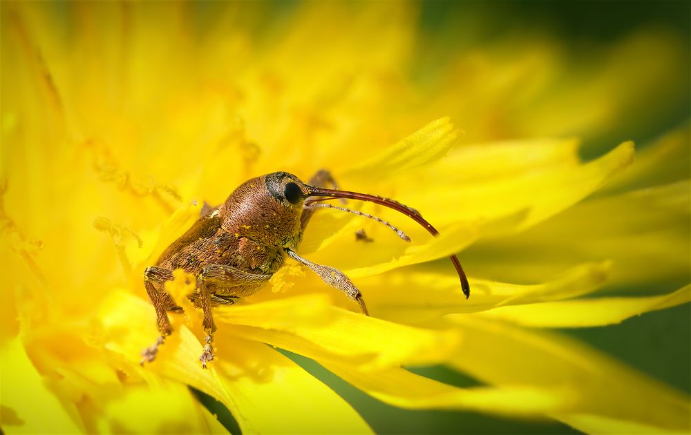 Photograph by Хилько Марина