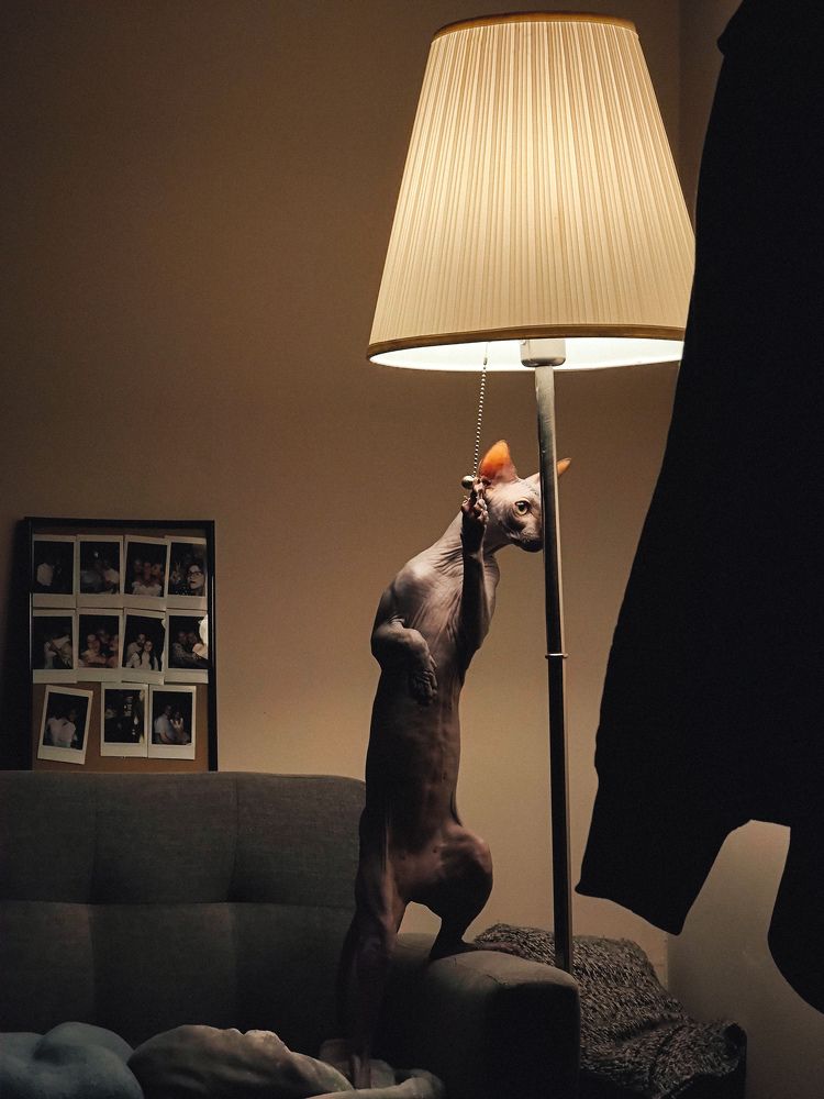 Photograph by Сергей Сластин