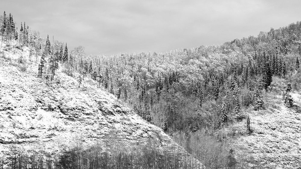 Photograph by Александр Потапов