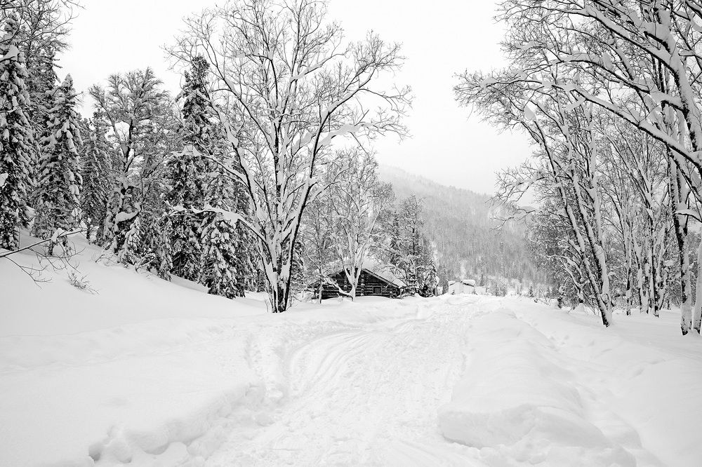 Photograph by Александр Потапов