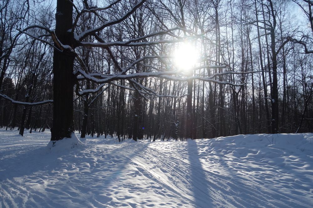 Photograph by Дарья Гришина