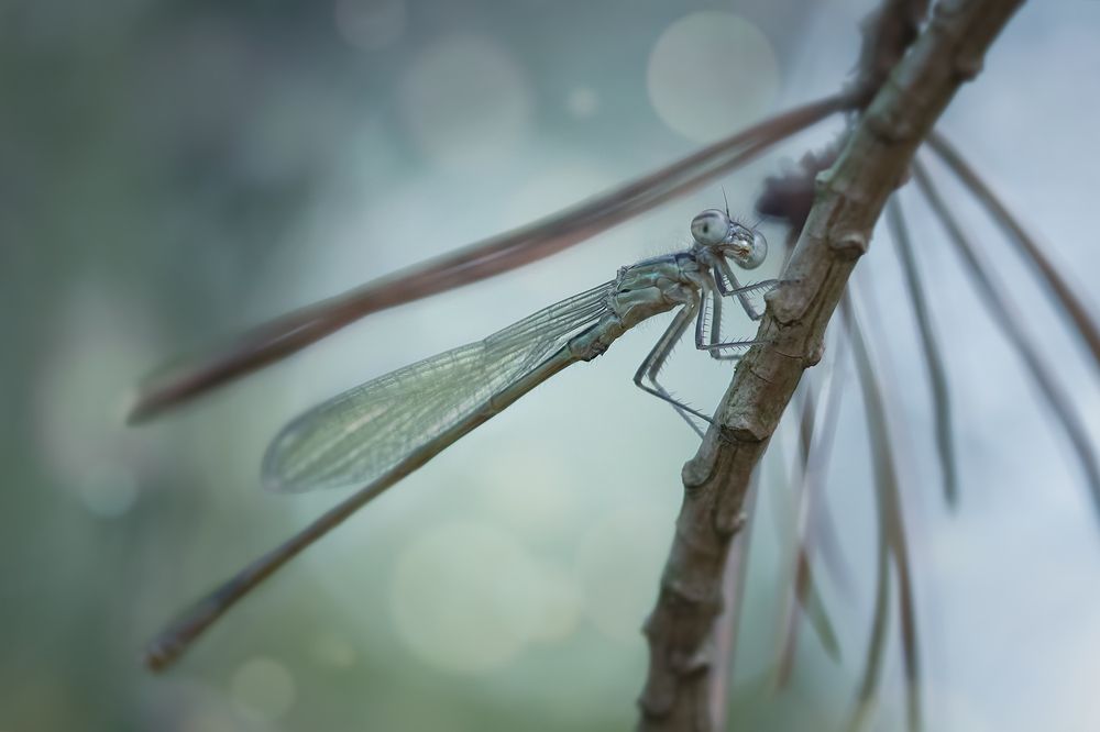 Photograph by Хилько Марина