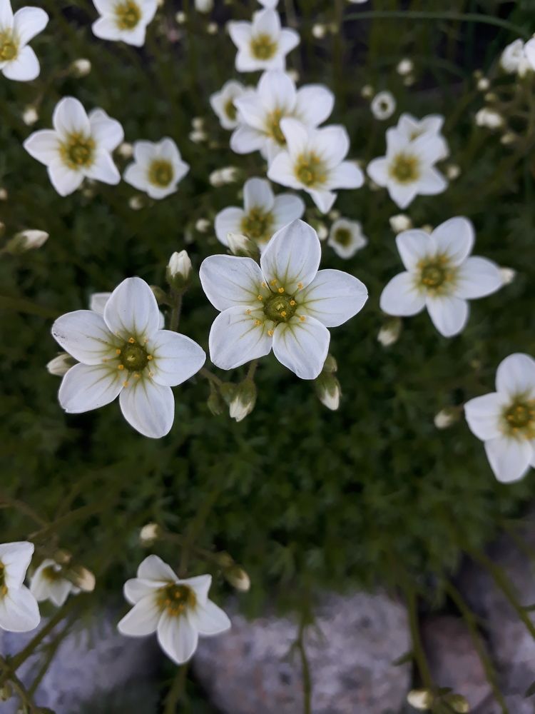 Photo #8680629