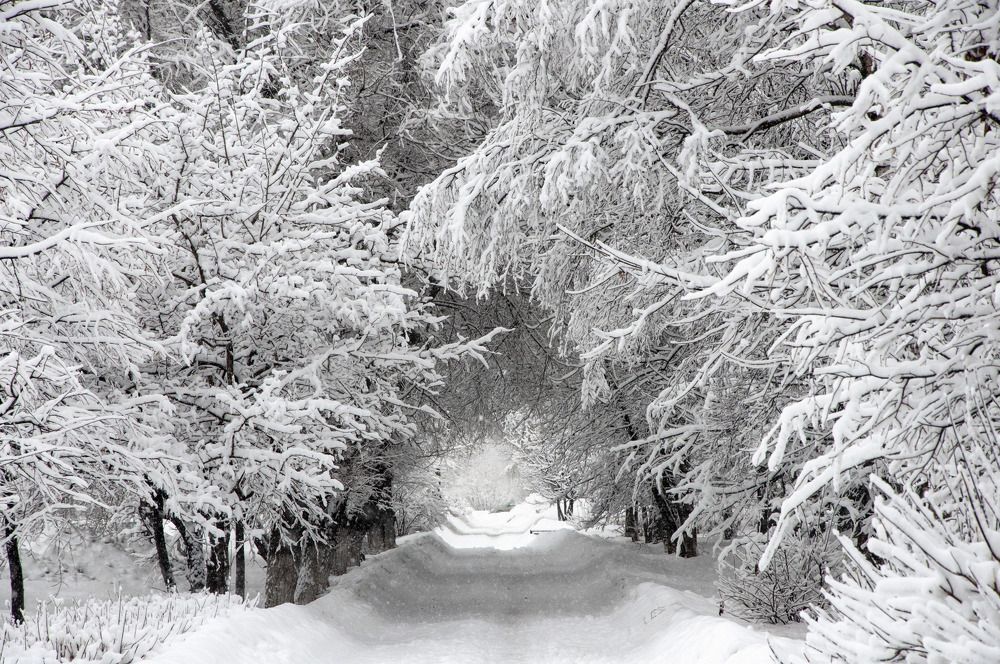 Photograph by Роман Шаров