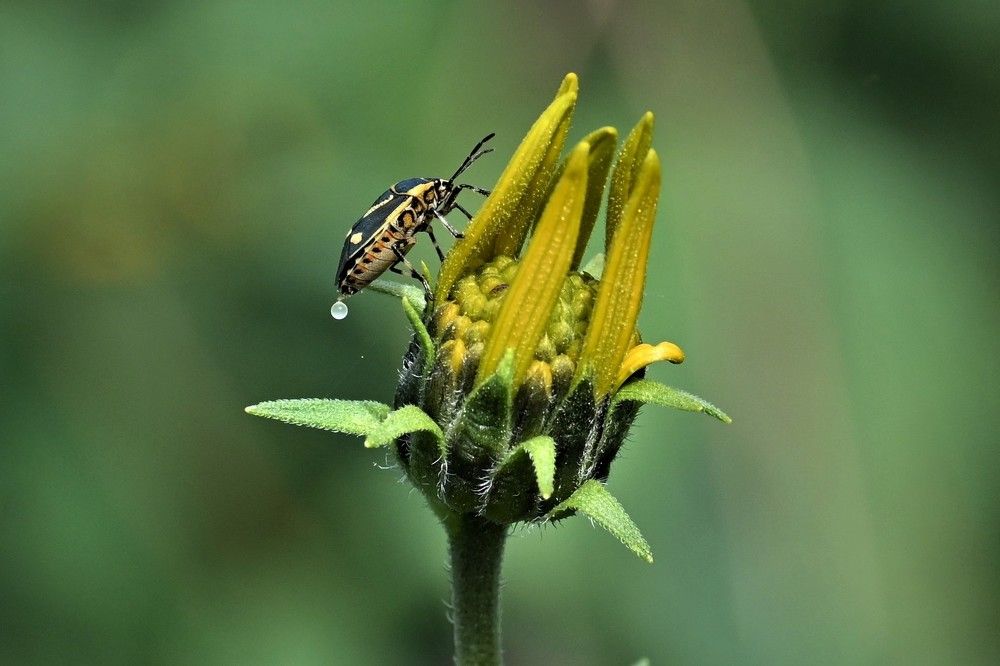 Фотография автора IRINA FILIPPOVA