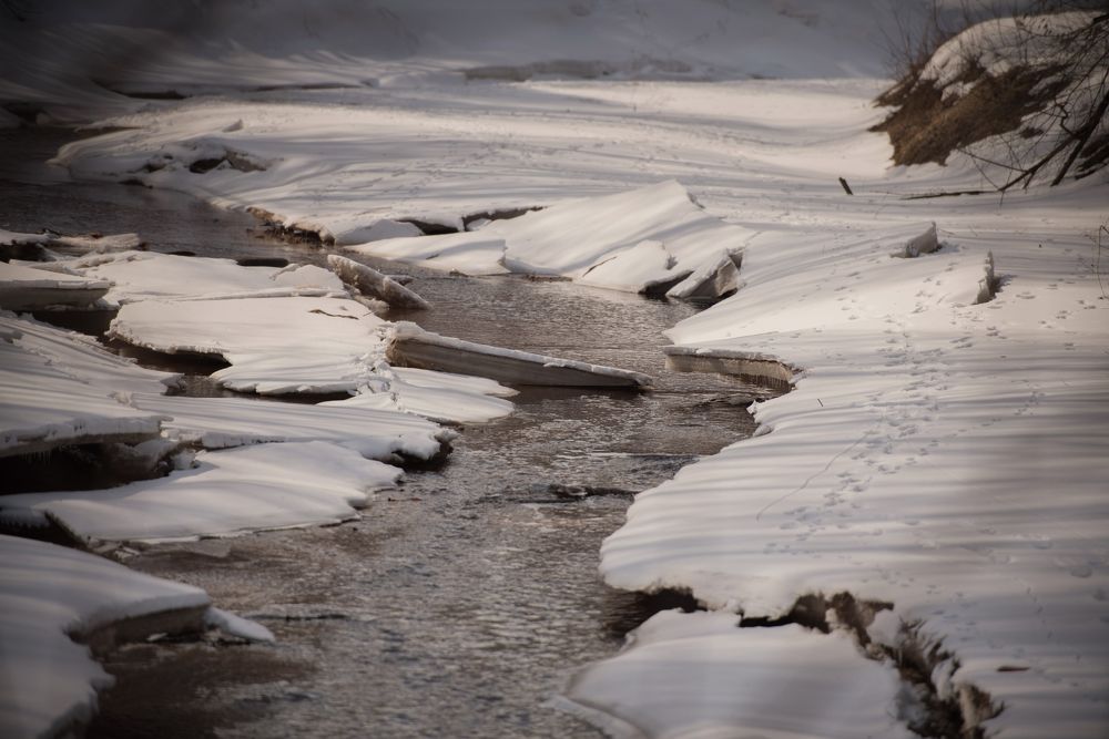 Photograph by Дарья Лисицына