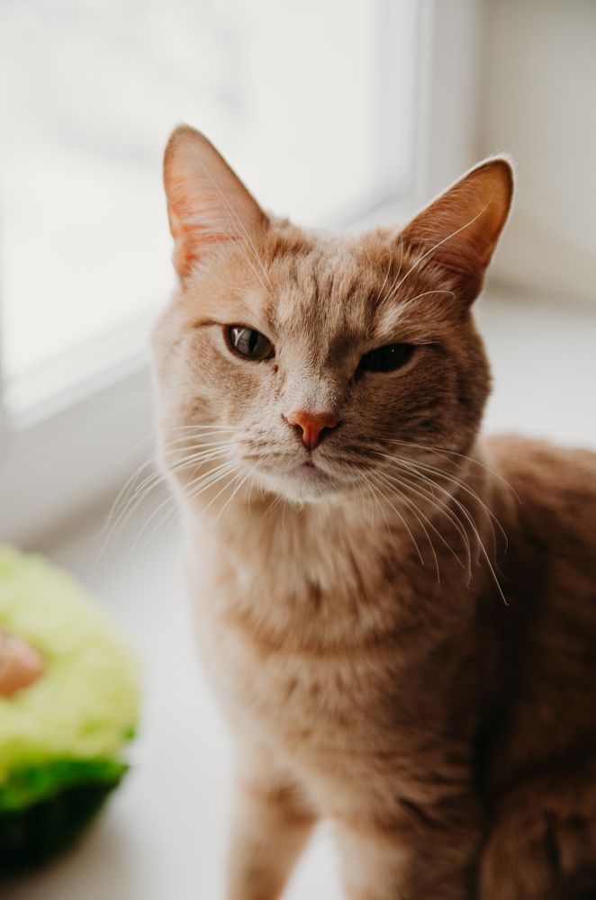 Photograph by Александра Лесина