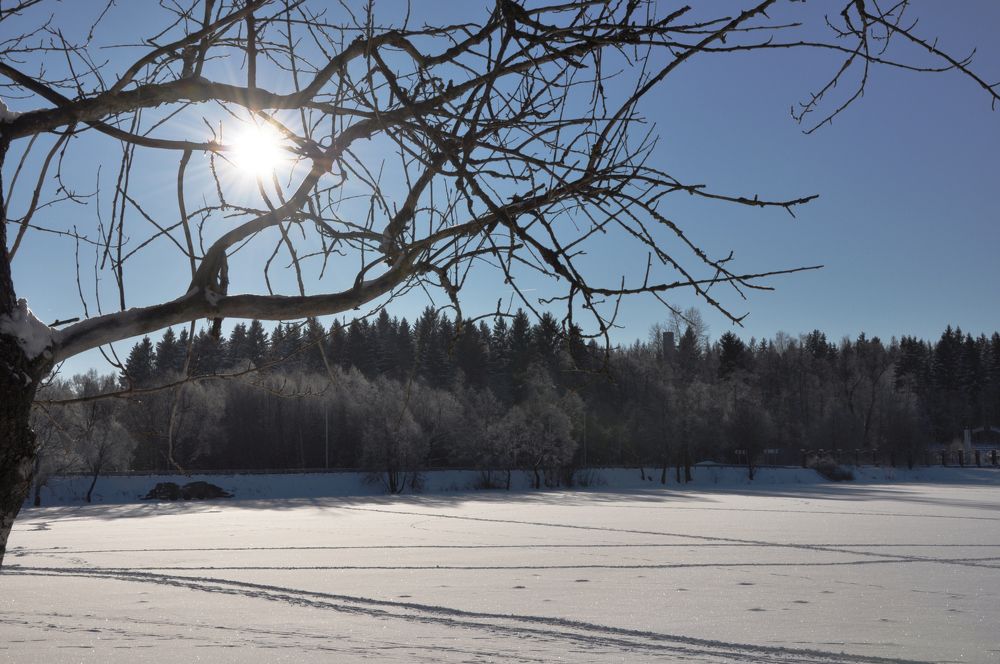 Photograph by Роман Шаров