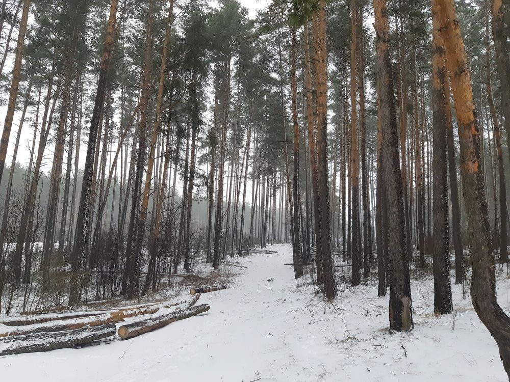 Photograph by Михаил Тумилович
