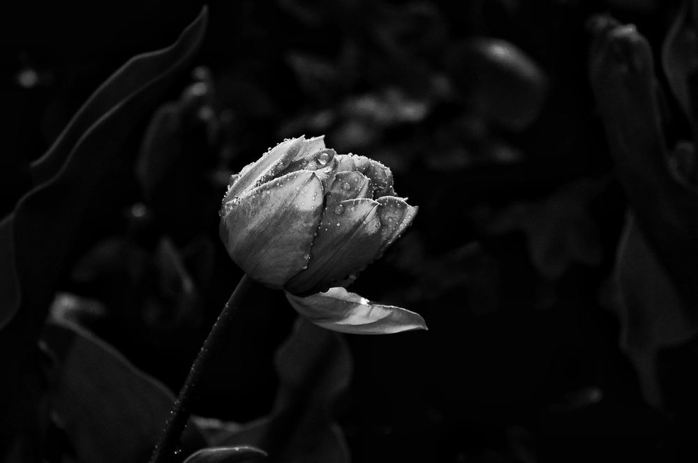 Photograph by Анастасия Кочетова