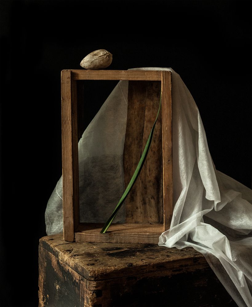 Photograph by Анна Статейко