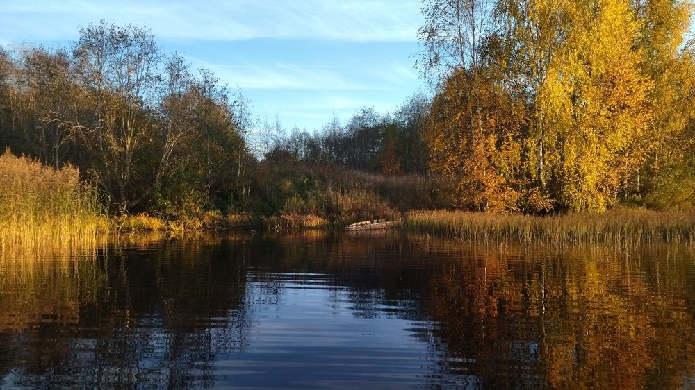 Photograph by Татьяна