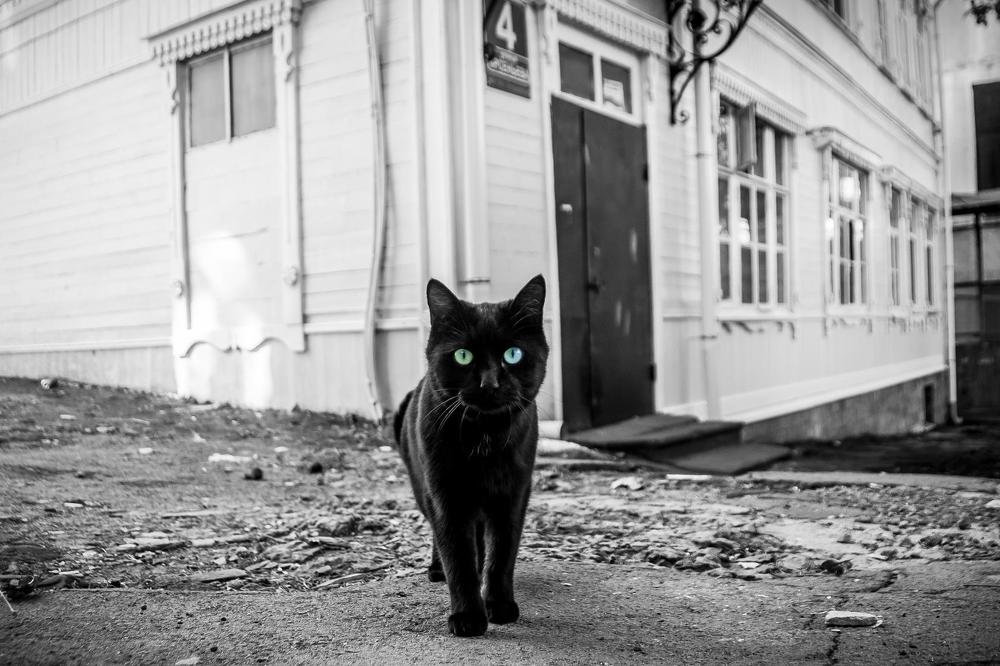 Photograph by Андрей Михайлов