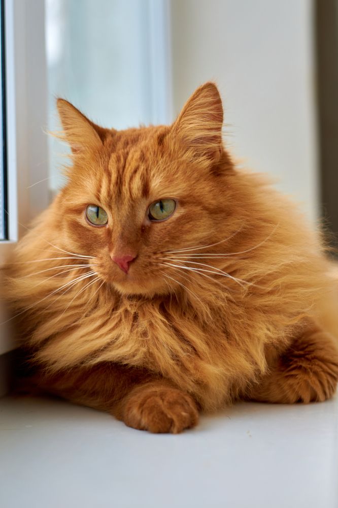 Photograph by Игорь Федянин