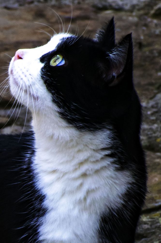 Photograph by SIMONE CIULLI