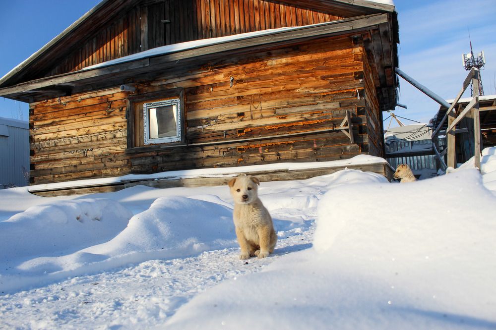 Photograph by Михаил Мархинин