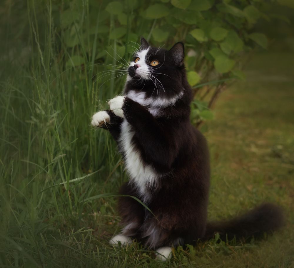 Photograph by Елена Басова