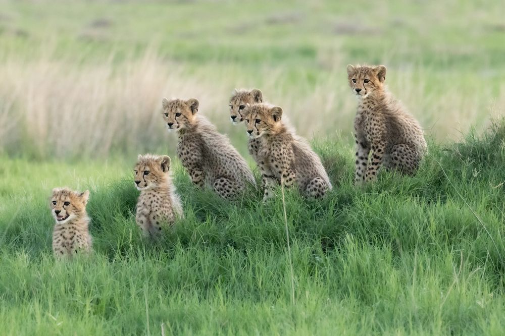 Photograph by Raquel Barao