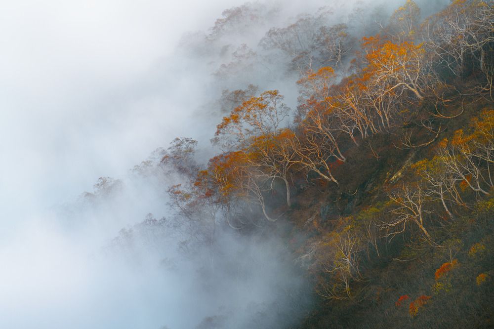 Фотография автора tran luong quyen
