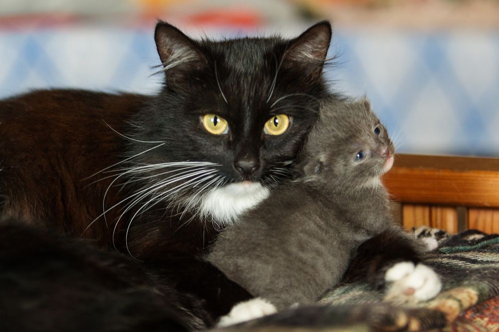 Photograph by Татьяна Семенова