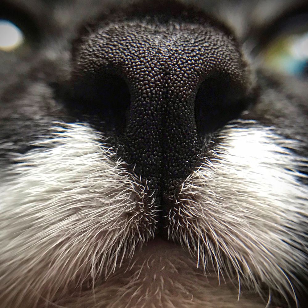 Photograph by Мария Шрейдер