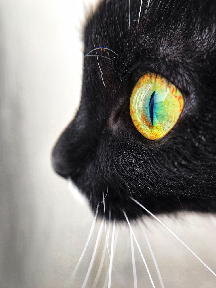 Photograph by Мария Шрейдер