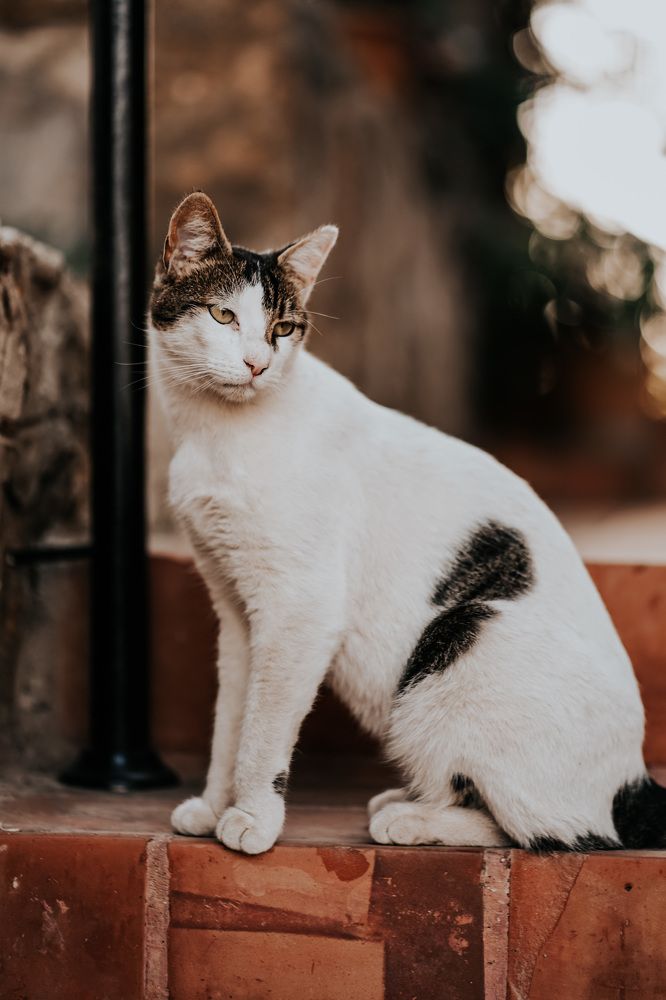 Photograph by Алексей Сафонов